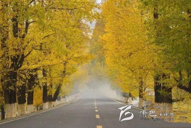 康定新都橋，有一條黃金大道通往夢中的天堂