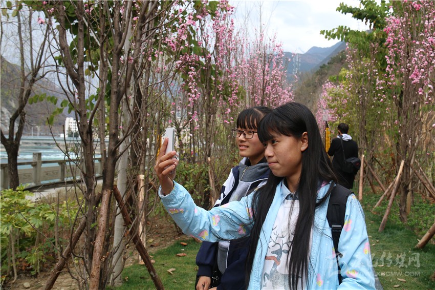 春光俏！“醉”是瀘定春三月，踏青賞花正當(dāng)時