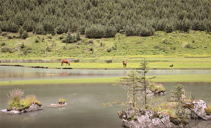 去甘孜 邂逅絕美湖泊海子！