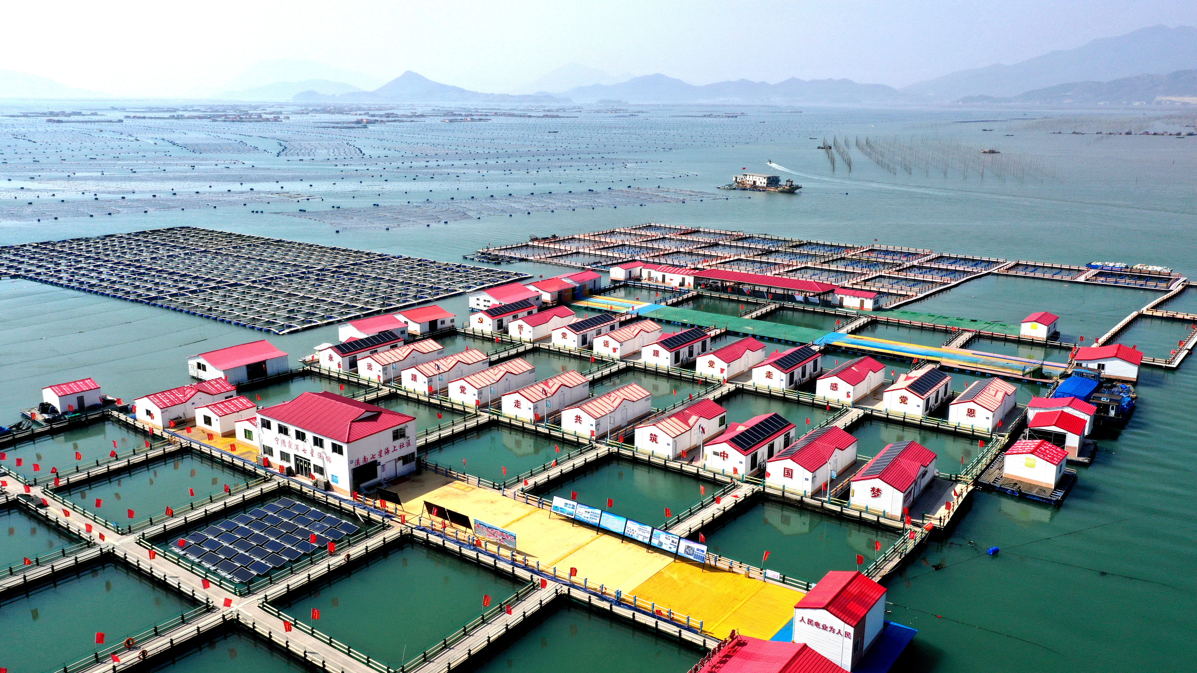 2024年3月20日，福建省寧德市，霞浦縣溪南鎮(zhèn)七星村漁排養(yǎng)殖示范區(qū)，漁民駕駛養(yǎng)殖船進(jìn)行海參養(yǎng)殖作業(yè)。