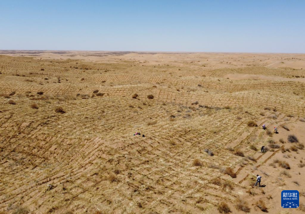 2024年4月10日，群眾在古浪縣八步沙林場麻黃塘沙區(qū)用草方格壓沙。新華社發(fā)（無人機照片）
